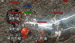 新开传奇私服