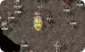 新开私服